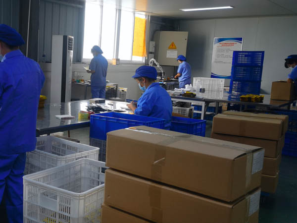 哪里有膏藥加工廠？膏藥貼牌廠家哪家好？